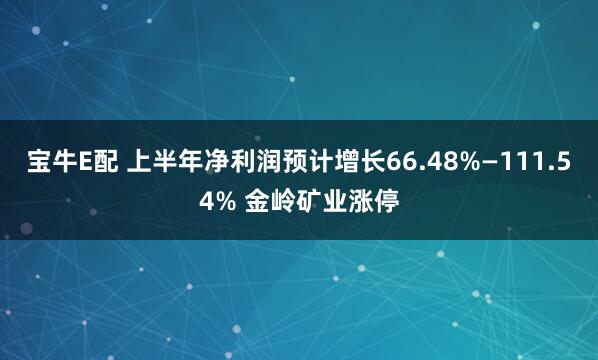 宝牛E配 上半年净利润预计增长66.48%—111.54% 金岭矿业涨停