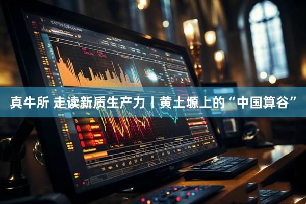 真牛所 走读新质生产力丨黄土塬上的“中国算谷”