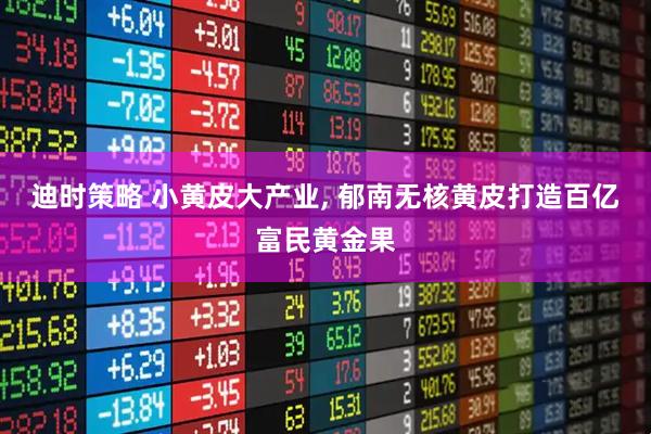 迪时策略 小黄皮大产业, 郁南无核黄皮打造百亿富民黄金果