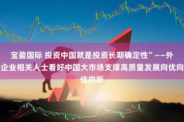 宝盈国际 投资中国就是投资长期确定性”——外资企业相关人士看好中国大市场支撑高质量发展向优向新