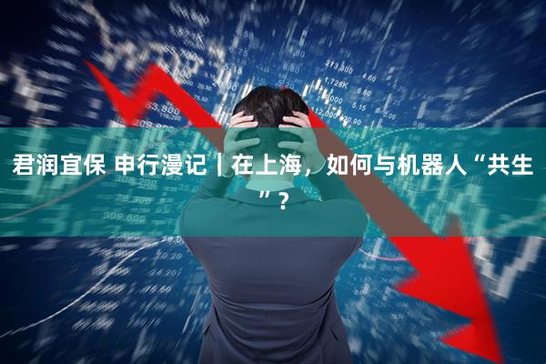 君润宜保 申行漫记｜在上海，如何与机器人“共生”？