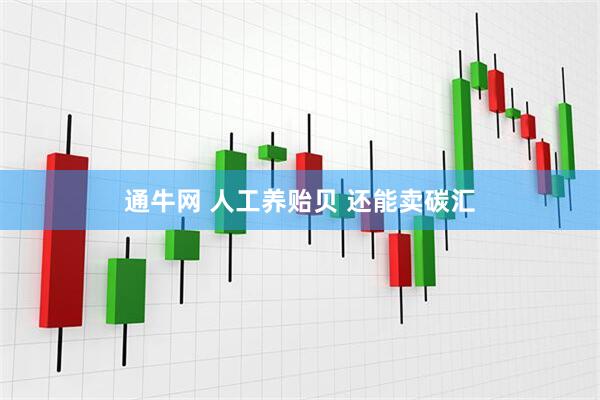 通牛网 人工养贻贝 还能卖碳汇