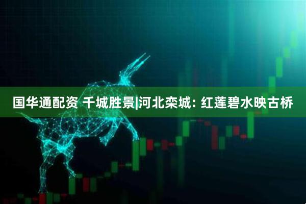国华通配资 千城胜景|河北栾城: 红莲碧水映古桥