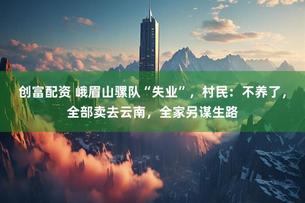 创富配资 峨眉山骡队“失业”，村民：不养了，全部卖去云南，全家另谋生路