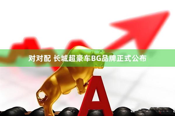 对对配 长城超豪车BG品牌正式公布