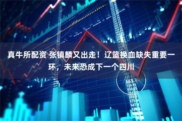 真牛所配资 张镇麟又出走！辽篮换血缺失重要一环，未来恐成下一个四川