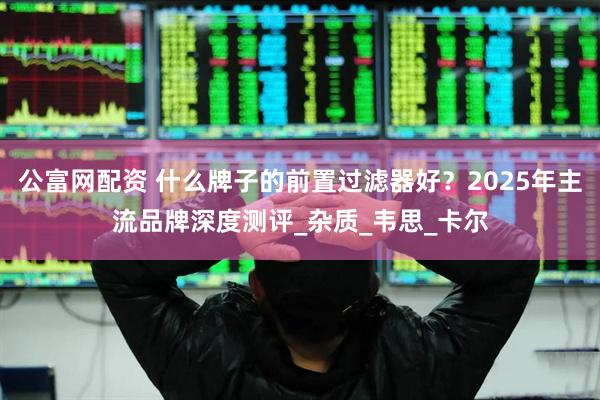 公富网配资 什么牌子的前置过滤器好？2025年主流品牌深度测评_杂质_韦思_卡尔