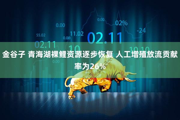 金谷子 青海湖裸鲤资源逐步恢复 人工增殖放流贡献率为26%