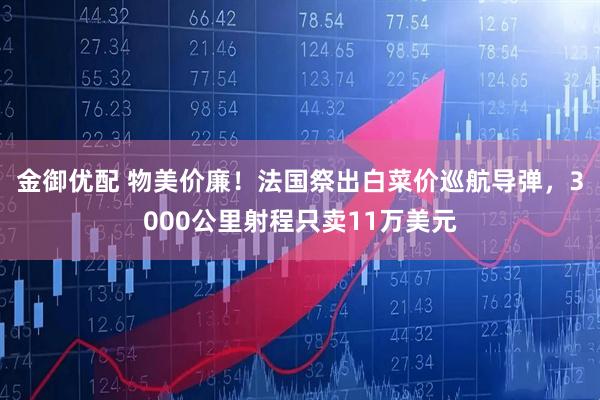 金御优配 物美价廉！法国祭出白菜价巡航导弹，3000公里射程只卖11万美元