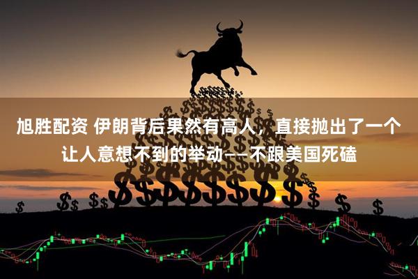 旭胜配资 伊朗背后果然有高人，直接抛出了一个让人意想不到的举动——不跟美国死磕